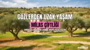 Sanatçı Özlem Tekin'in Gözlerden Uzak Yaşamı ve Son Görüntüleri