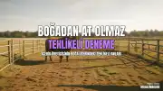 Sosyal Medya İçerik Üreticisinin Tehlikeli Denemesi: 830 Kiloluk Boğanın Üzerine Binmeye Çalıştı