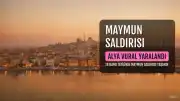 Sosyal Medya Fenomeni Alya Vural Tayland'da Maymun Saldırısına Uğradı