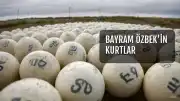 Bayram Özbek'in Kurtlar Vadisi ve ÇEV Kumpasındaki Rolü Ortaya Çıktı