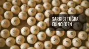 Şarkıcı Tuğba Ekinci'den Tutukluluk Sonrası İlk Açıklama: "Güzel Olmak Suç mu?"