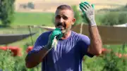 Amasya'da Tarım İşçisinin Soğan Tarlasındaki Müzik Performansı