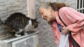 Sinema Oyuncusu ve Hayvan Hakları Savunucusu Emel Yıldız Son Yolculuğuna Uğurlandı