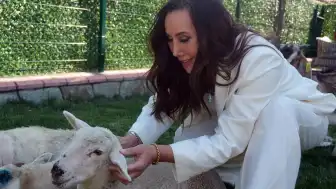 Oryantal A.'nın Yeni Aşkı İş İnsanı K.K. ile İddiaları