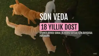 Bensu Soral, 18 yıllık dostu kedisi Sütlaç'ı kaybetti