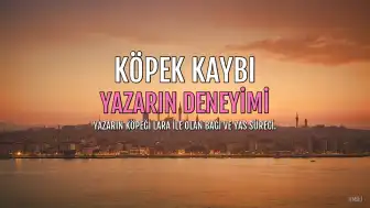 Yazar, Köpeğinin Kaybıyla Yüzleşti: Hayvan Kaybında Yasın Karmaşıklığı
