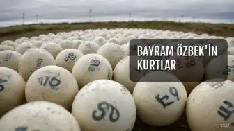 Bayram Özbek'in Kurtlar Vadisi ve ÇEV Kumpasındaki Rolü Ortaya Çıktı