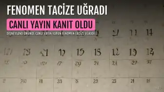 Disneyland Önünde Canlı Yayın Yapan Fenomen Tacize Uğradı, Saldırgan Gözaltına Alındı