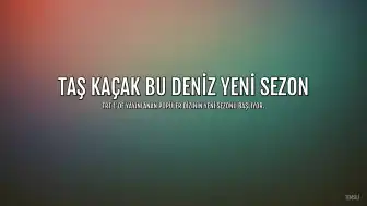 Taş Kaçak Bu Deniz'in 2. Sezonu Başlıyor: Yeni Bölüm Tarihi Belli Oldu