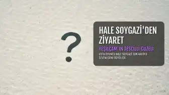 Yeşilçam'ın Tescilli Güzeli Hale Soygazi'nin Son Hali Hayran Bıraktı