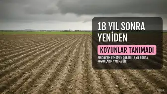 Fenomen Çoban İlhan Orak, 18 Yıl Sonra Koyunlarla Yeniden Buluştu