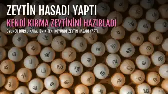 Oyuncu Burcu Kara, İznik'teki köyünde zeytin hasadı yaptı