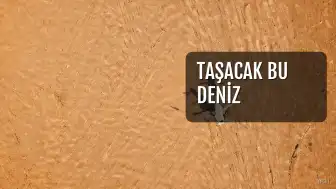 Taşacak Bu Deniz Dizisinin Yeni Karakteri Emriye Hala Kimdir? Alya Baki'nin Rolü ve Kariyeri