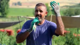 Amasya'da Tarım İşçisinin Soğan Tarlasındaki Müzik Performansı
